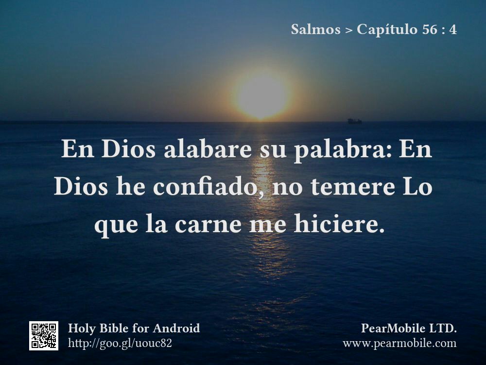 Salmos, Capítulo 56:4